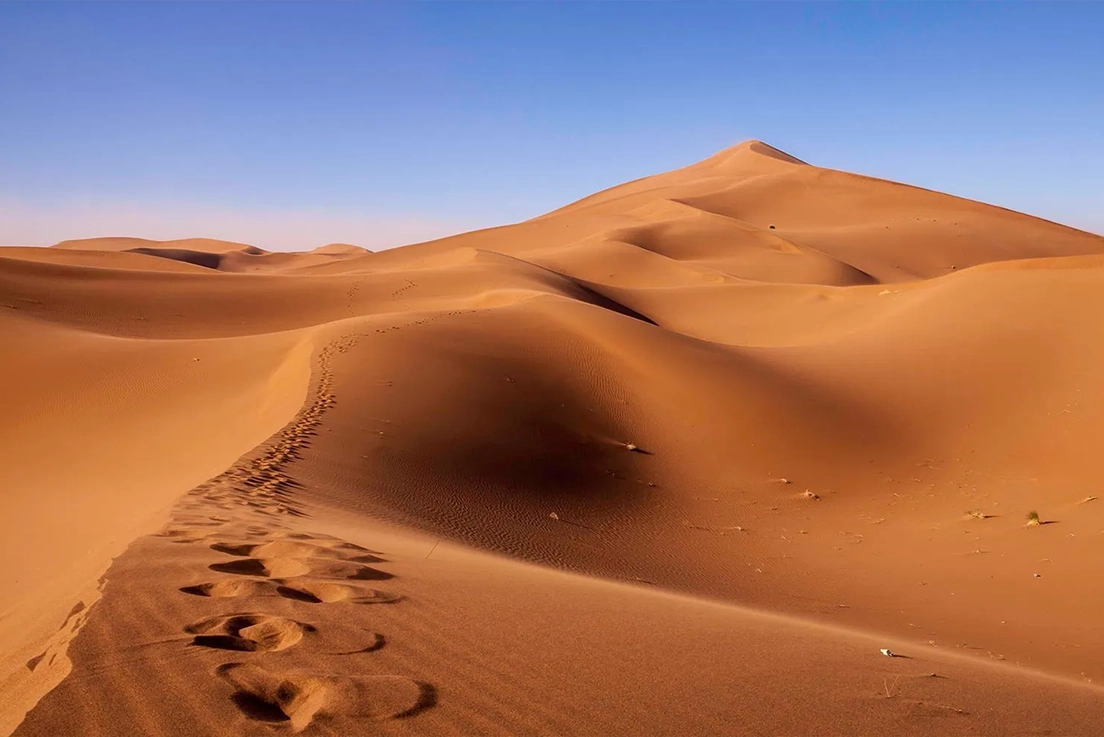 Trekking Mhamid El Ghizlane from Marrakech – Morocco Highlight Adventure - 01