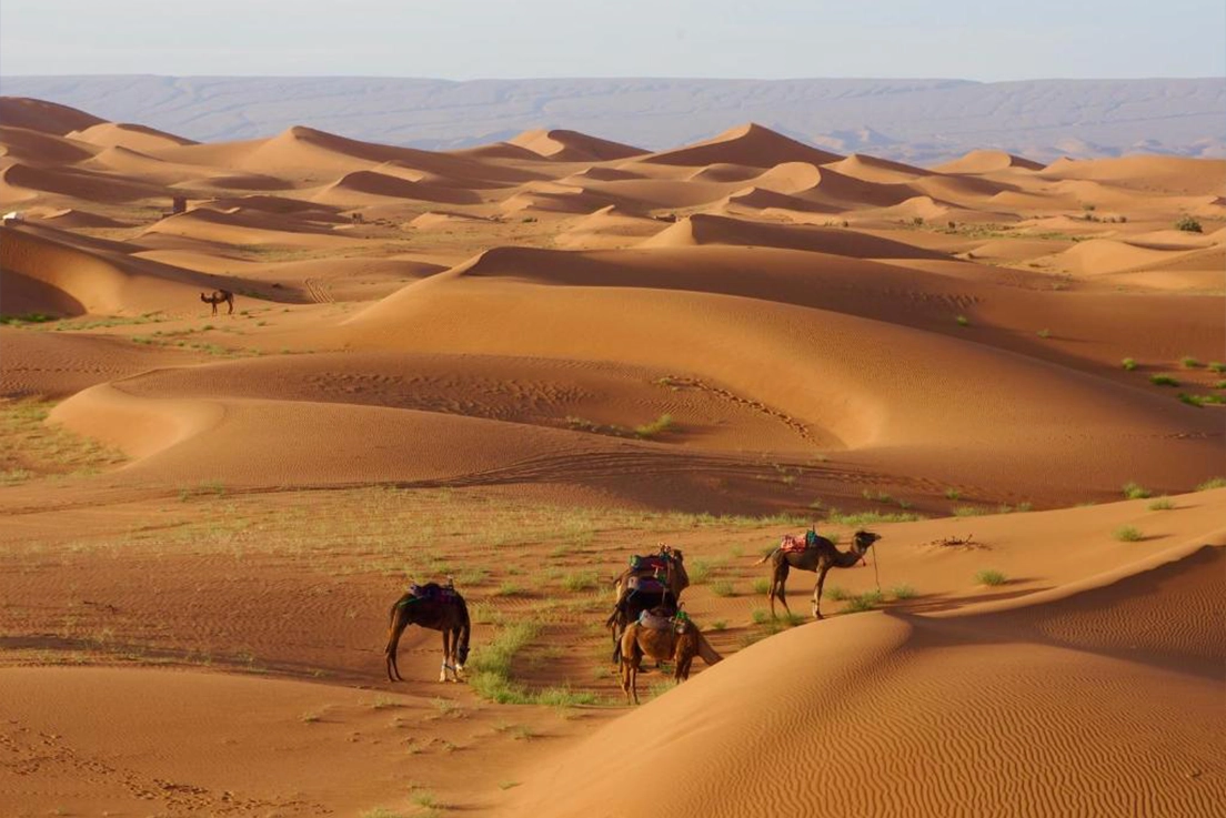 Trekking Mhamid El Ghizlane from Marrakech – Morocco Highlight Adventure - 04