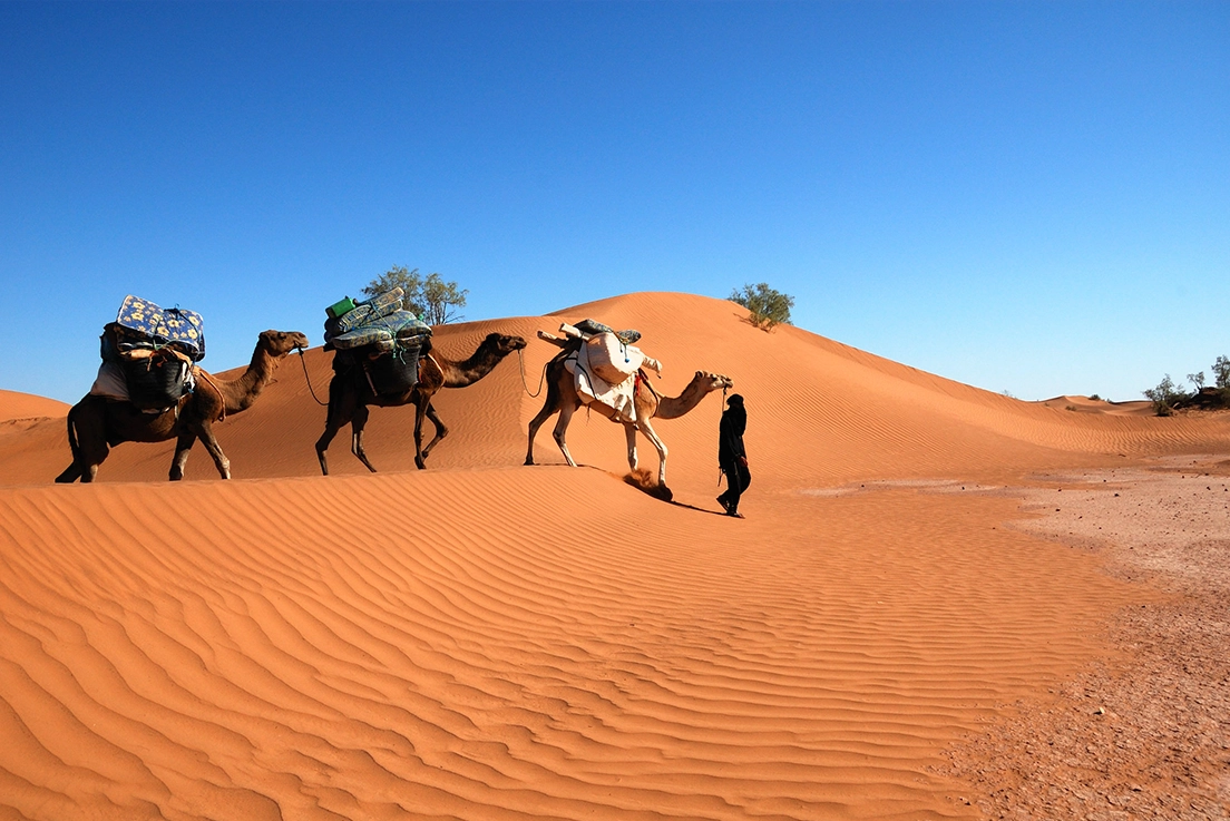 Trekking Mhamid El Ghizlane from Marrakech – Morocco Highlight Adventure - 05