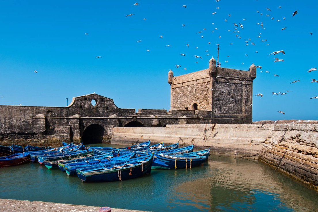 Morocco's Coastal Treasures An 8-Day Atlantic Ocean Adventure - Morocco Highlight Adventure - 03